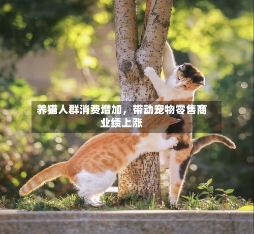 养猫人群消费增加	，带动宠物零售商业绩上涨-第1张图片