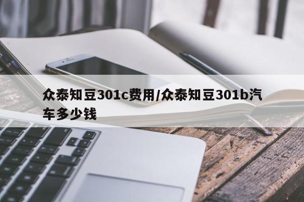 众泰知豆301c费用/众泰知豆301b汽车多少钱