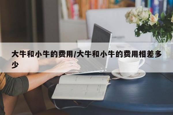 大牛和小牛的费用/大牛和小牛的费用相差多少