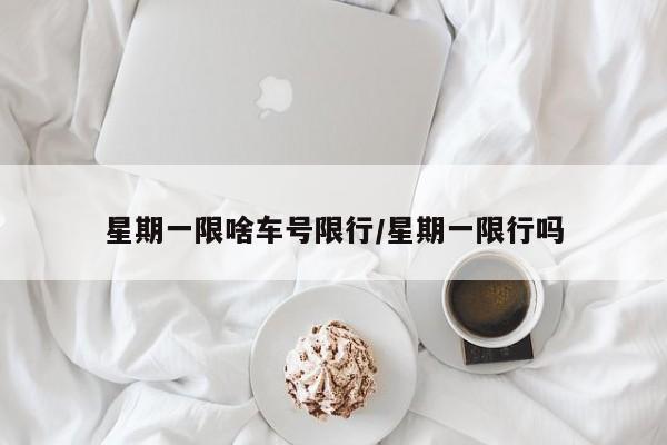 星期一限啥车号限行/星期一限行吗