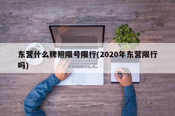 东营什么牌照限号限行(2020年东营限行吗)