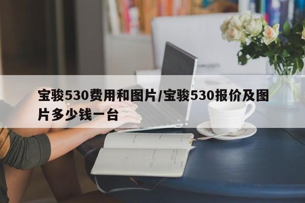 宝骏530费用和图片/宝骏530报价及图片多少钱一台