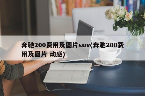 奔驰200费用及图片suv(奔驰200费用及图片 动感)