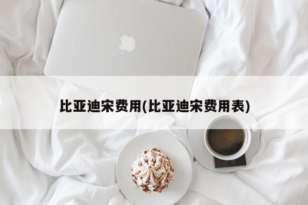 比亚迪宋费用(比亚迪宋费用表)