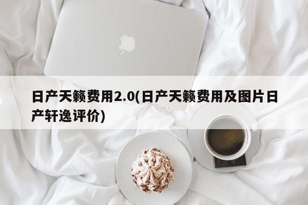 日产天籁费用2.0(日产天籁费用及图片日产轩逸评价)