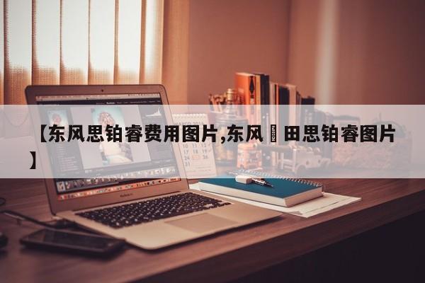 【东风思铂睿费用图片,东风夲田思铂睿图片】