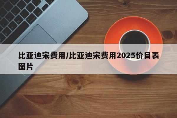 比亚迪宋费用/比亚迪宋费用2025价目表图片