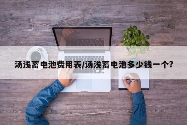 汤浅蓄电池费用表/汤浅蓄电池多少钱一个?