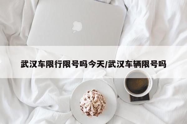 武汉车限行限号吗今天/武汉车辆限号吗