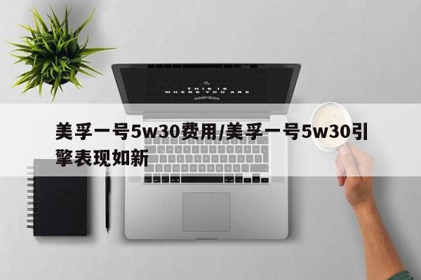 美孚一号5w30费用/美孚一号5w30引擎表现如新