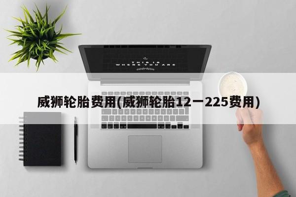 威狮轮胎费用(威狮轮胎12一225费用)