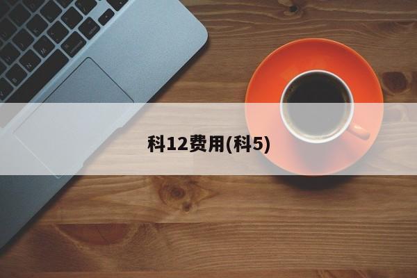 科12费用(科5)