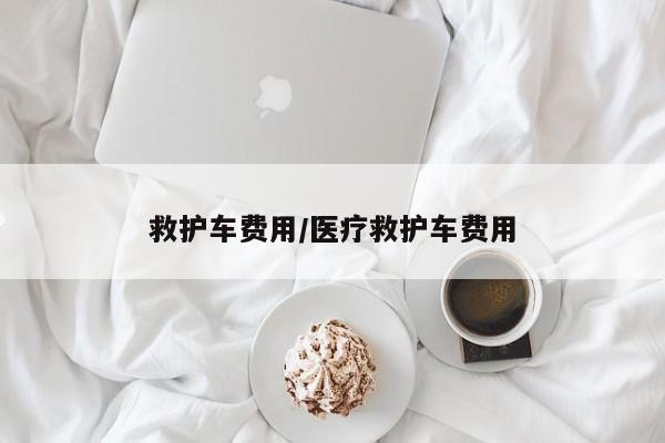 救护车费用/医疗救护车费用