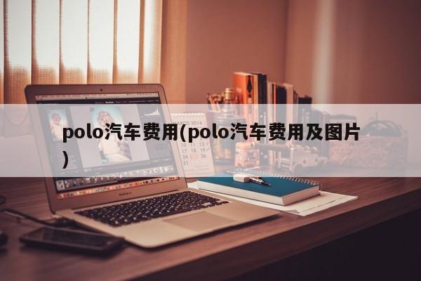polo汽车费用(polo汽车费用及图片)