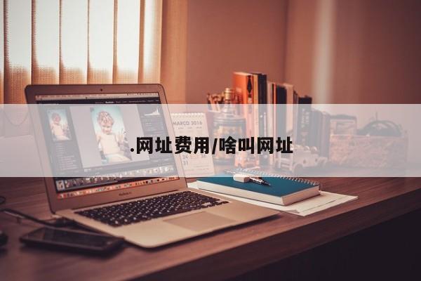 .网址费用/啥叫网址