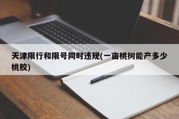 天津限行和限号同时违规(一亩桃树能产多少桃胶)