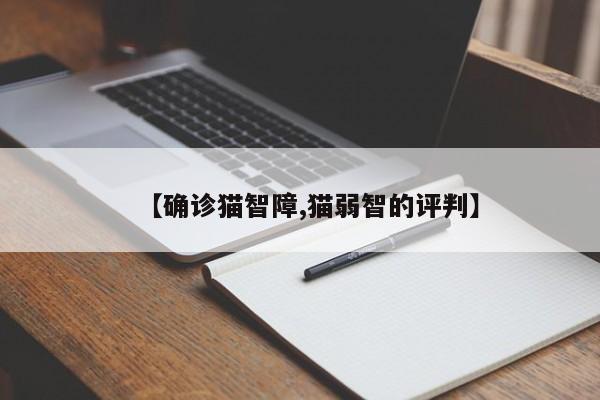 【确诊猫智障,猫弱智的评判】