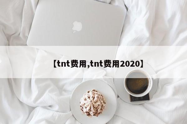 【tnt费用,tnt费用2020】