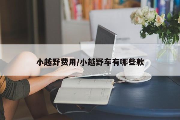 小越野费用/小越野车有哪些款