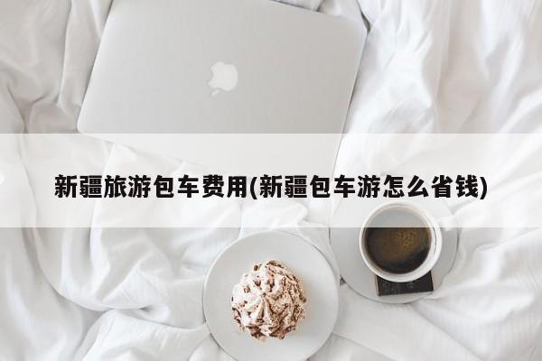新疆旅游包车费用(新疆包车游怎么省钱)