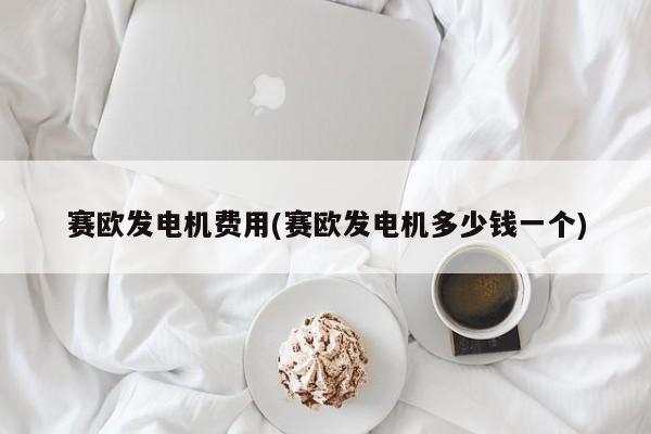 赛欧发电机费用(赛欧发电机多少钱一个)
