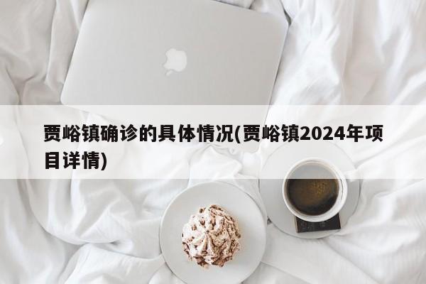 贾峪镇确诊的具体情况(贾峪镇2024年项目详情)