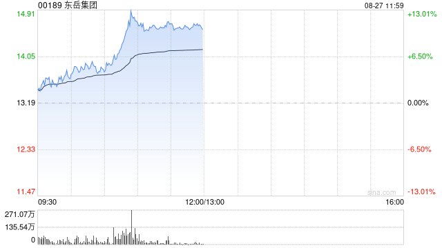 东岳集团午前涨近11% 中期溢利10.27亿元同比增加31.84%