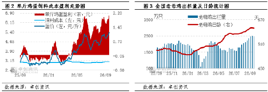 “蛋”说无妨：蛋价高台跳水	，本轮低点究竟在哪？